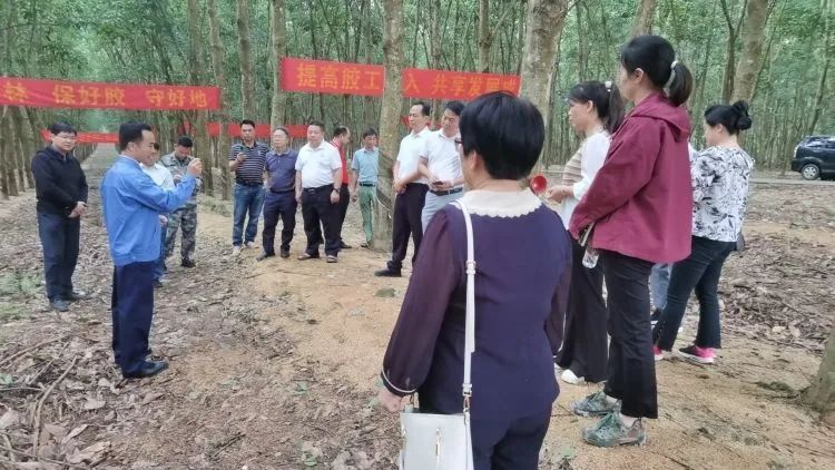 全国割胶冠军张健给各单位学员做标准化胶园建设及割胶技术的经验介绍。.jpg